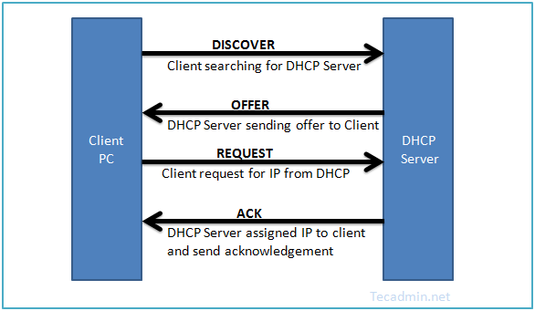 DHCP Process
